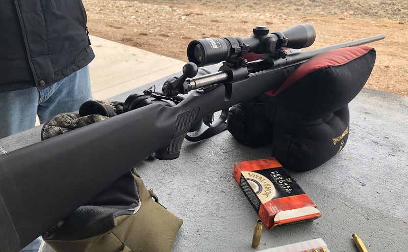 Savage Model 11 Review