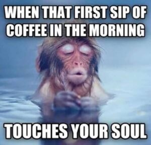 funny-photo-good-morning-4270767043